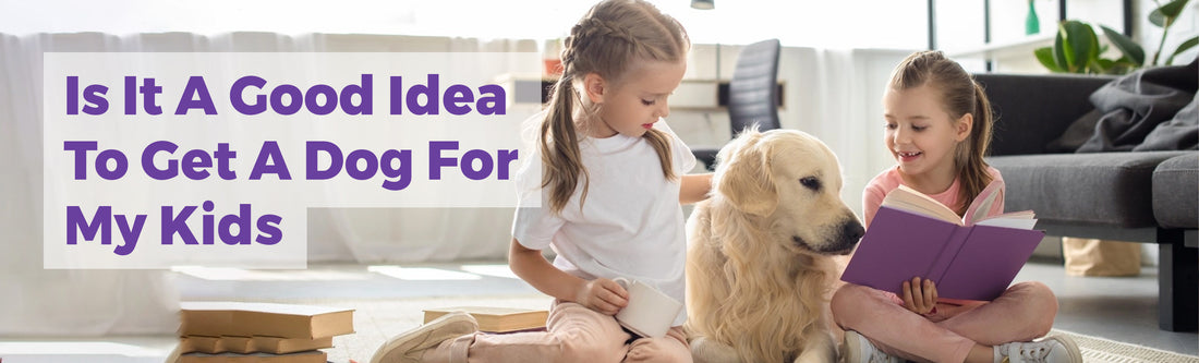 Is It A Good Idea To Get A Dog For My Kids