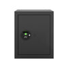 Godrej 40L NX Pro Biometric home lockers |Non Fire Resistant| Pro Strength