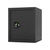 Godrej NX Pro Biometric 40L Home Lockers | Non Fire Resistant | Pro Strength